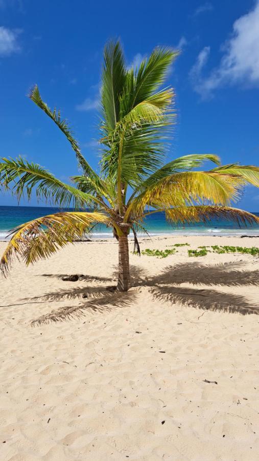 Studio Plage De L'Anse Caritan Sainte-Anne Eksteriør billede